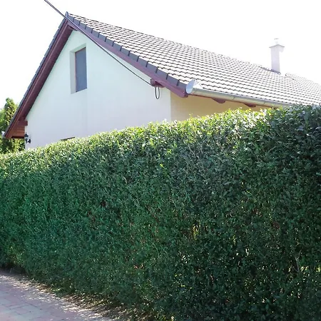 Guest house Kinga House 4*