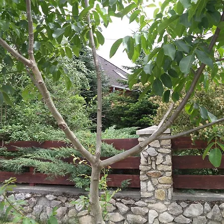 Gasthuis Kinga House 4*