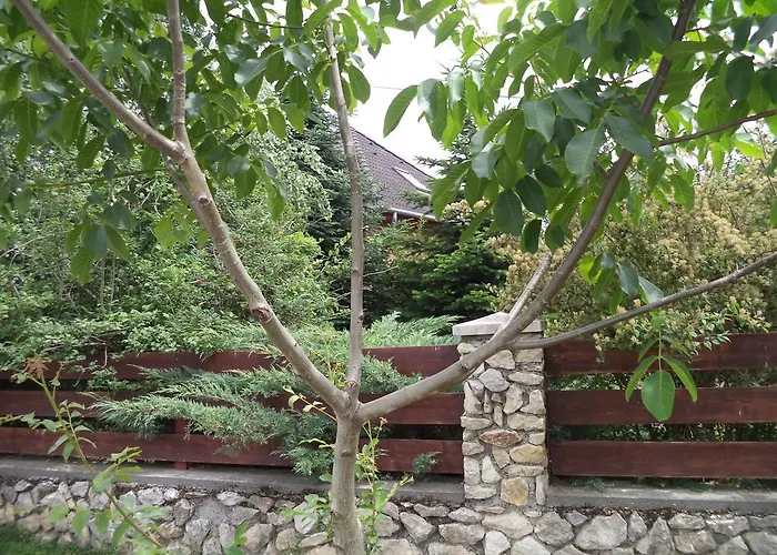 게스트하우스 Kinga House 4*