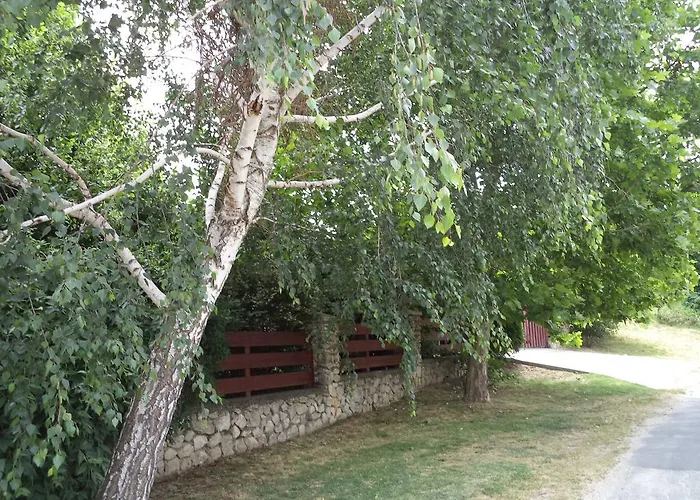 Kinga House קסזטלי