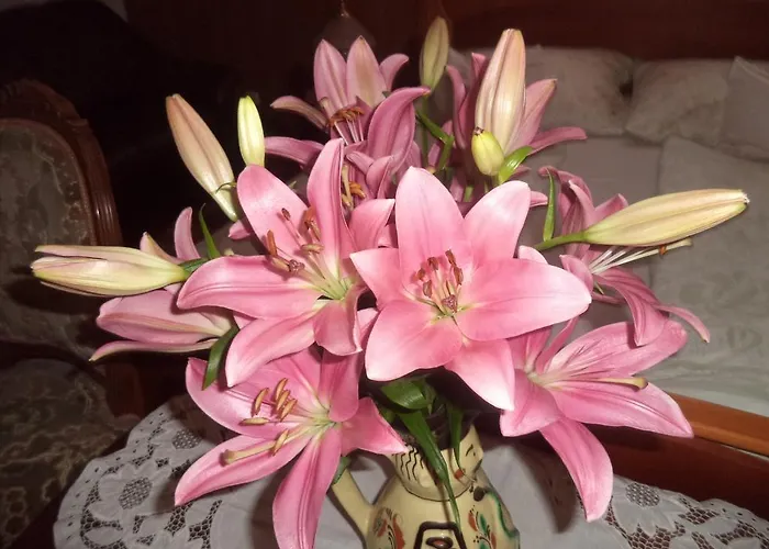 בית הארחה Kinga House